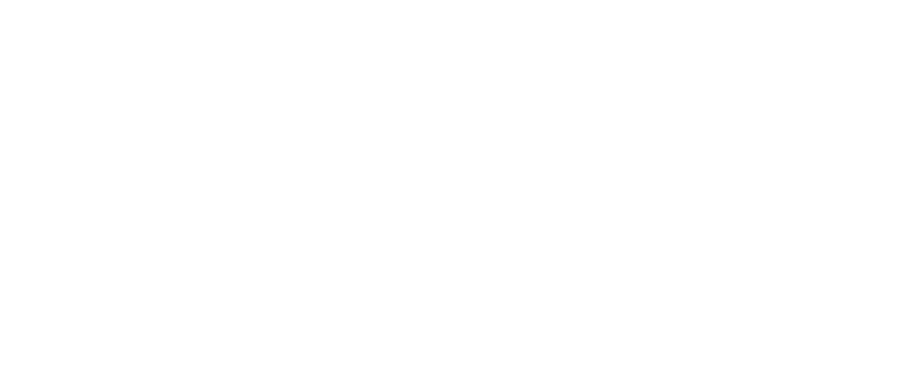 PAPOU — Votre institut anti-poux